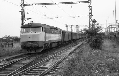 Zobrazi� cel� fotku