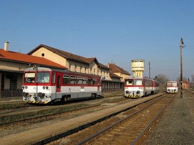 Zobrazi� cel� fotku