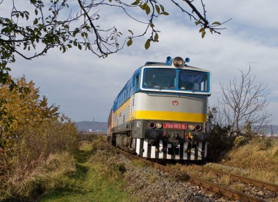 Zobrazi� cel� fotku