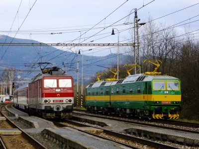Zobrazi� cel� fotku