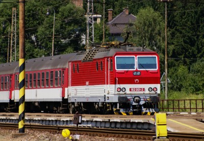 Zobrazi� cel� fotku