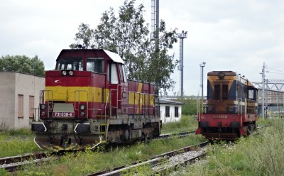 Zobrazi� cel� fotku