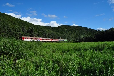 Zobrazi� cel� fotku