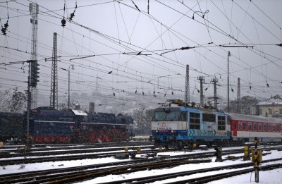 Zobrazi� cel� fotku