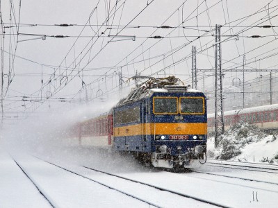 Zobrazi� cel� fotku