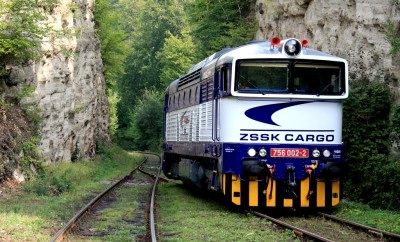 Zobrazi� cel� fotku