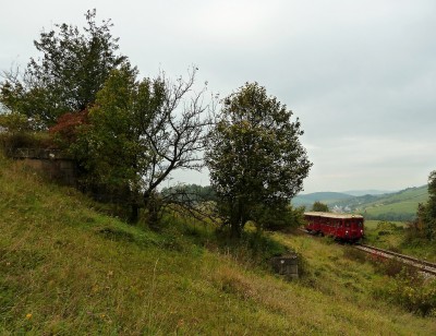 Zobrazi� cel� fotku