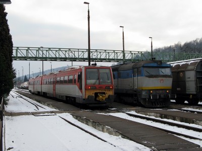 Zobrazi� cel� fotku