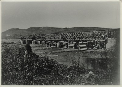 Zobrazi� cel� fotku