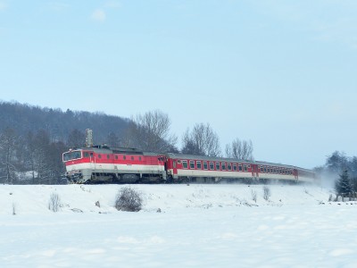 Zobrazi� cel� fotku