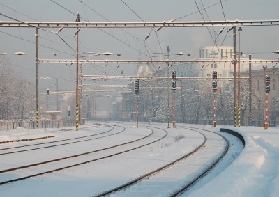 Zobrazi� cel� fotku