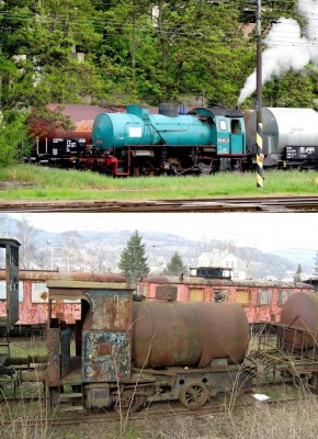 Zobrazi� cel� fotku