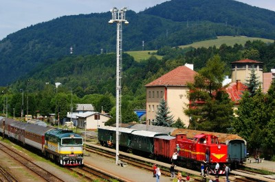 Zobrazi� cel� fotku