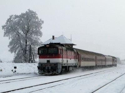 Zobrazi� cel� fotku