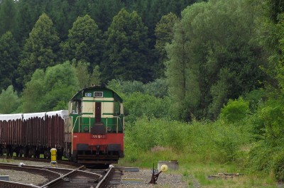 Zobrazi� cel� fotku