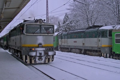 Zobrazi� cel� fotku