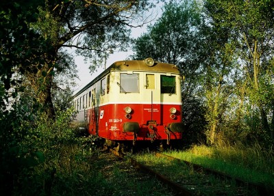 Zobrazi� cel� fotku