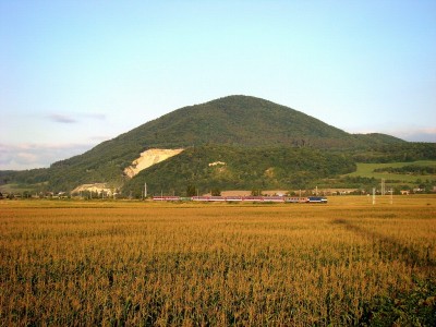 Zobrazi� cel� fotku