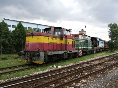 Zobrazi� cel� fotku