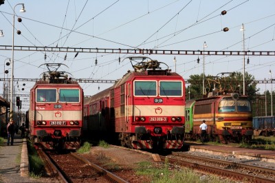 Zobrazi� cel� fotku