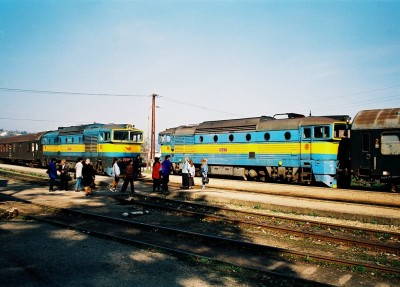 Zobrazi� cel� fotku