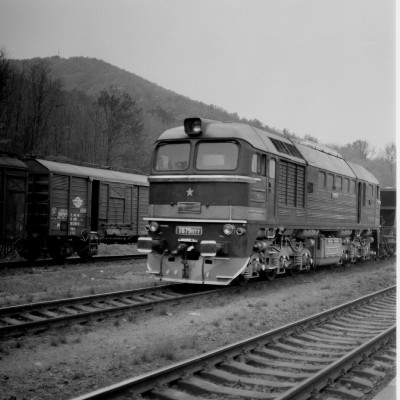 Zobrazi� cel� fotku