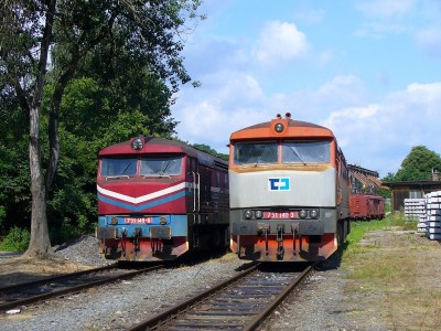 Zobrazi� cel� fotku