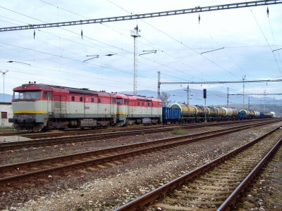 Zobrazi� cel� fotku