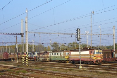 Zobrazi� cel� fotku