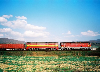 Zobrazi� cel� fotku