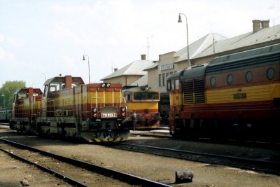 Zobrazi� cel� fotku