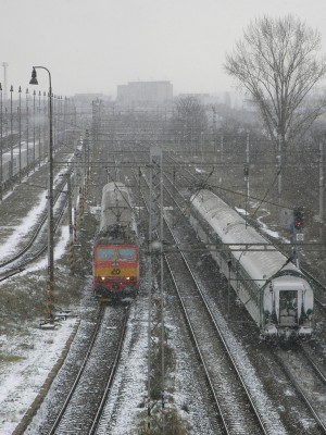 Zobrazi� cel� fotku