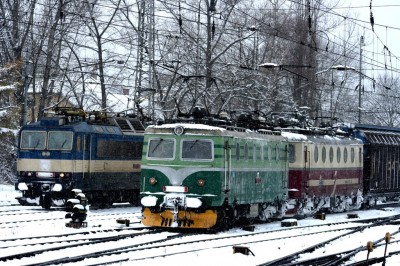 Zobrazi� cel� fotku