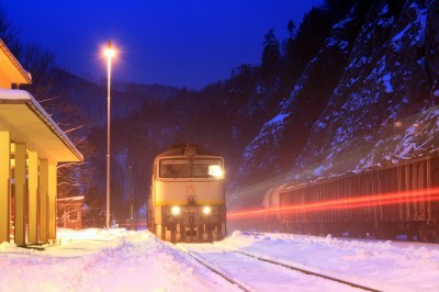 Zobrazi� cel� fotku