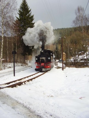 Zobrazi� cel� fotku