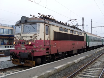 Zobrazi� cel� fotku