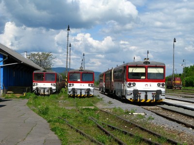 Zobrazi� cel� fotku
