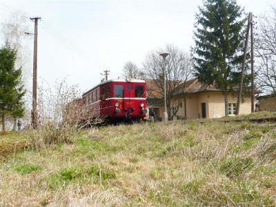 Zobrazi� cel� fotku