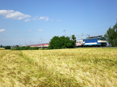 Zobrazi� cel� fotku