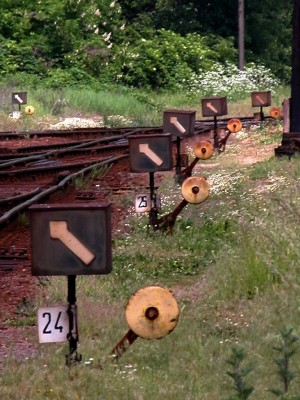 Zobrazi� cel� fotku