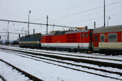 Zobrazi� cel� fotku