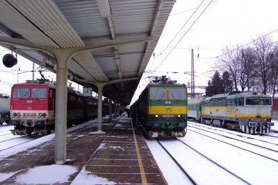 Zobrazi� cel� fotku