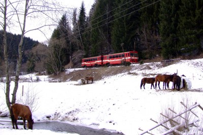 Zobrazi� cel� fotku