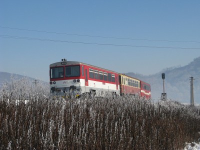 Zobrazi� cel� fotku