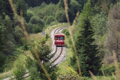 Zobrazi� cel� fotku