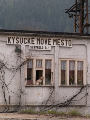 Zobrazi� cel� fotku