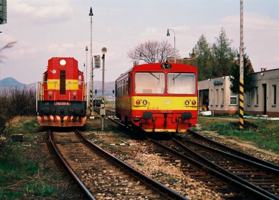 Zobrazi� cel� fotku