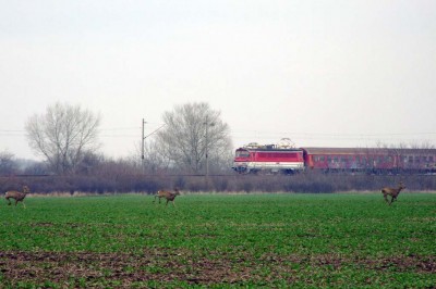 Zobrazi� cel� fotku