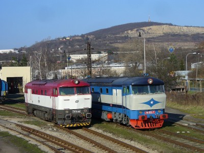 Zobrazi� cel� fotku