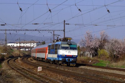 Zobrazi� cel� fotku